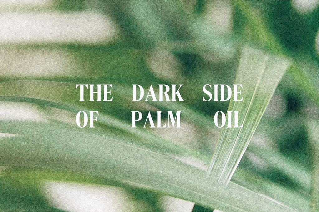 The Dark Side of Palm Oil